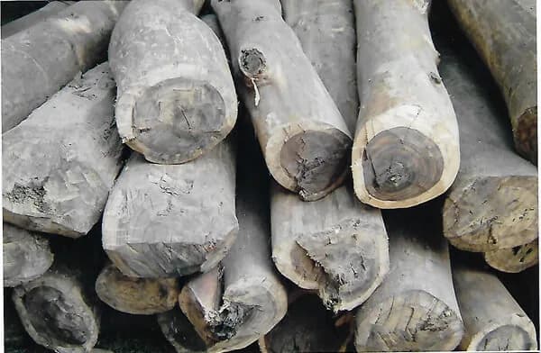 Premium ebony and rosewood raw wood preparation for instrument fittings