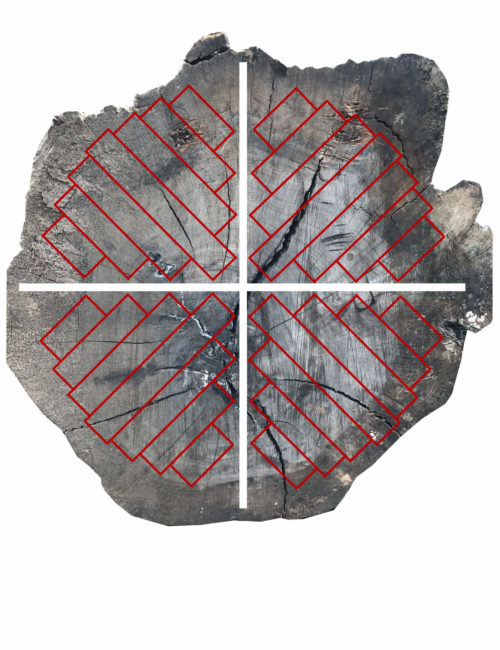 Quarter Sawn Cutting Method